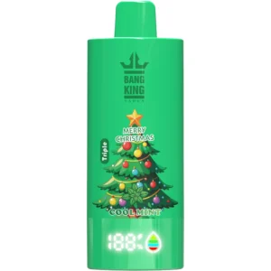 Bang-King-100k-Puff-vape-Christmas-Style-Blue-Razz-Cherry-Cool-Mint-Peach-Mango-DSK068-luckvapeja