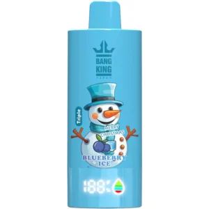 Bang-King-100k-Puff-vape-Christmas-Style-Lemon-Lime-Strawberry-Watermelon-Blueberry-Ice-DSK068-luckvapeja