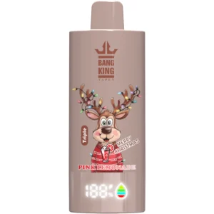 Bang-King-100k-Puff-vape-Christmas-Style-Strawberry-Banana-Raspberry-Watermelon-Pink-Lemonade-DSK068-luckvapeja