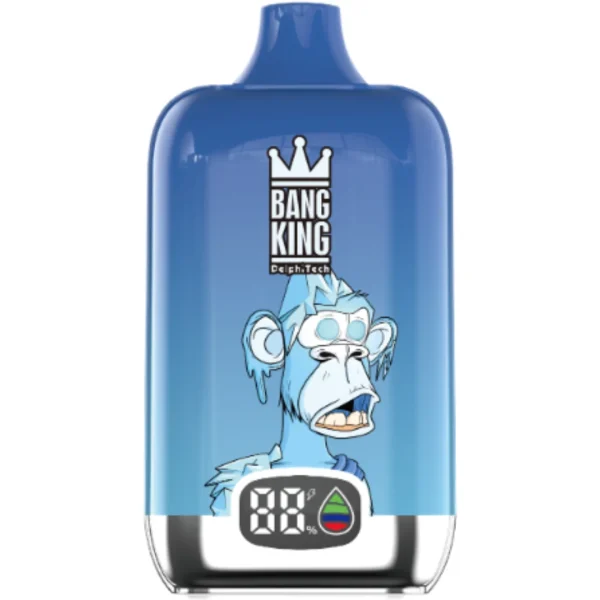 Bang-King-15000-Puff-Blueberry-Freeze-DSK017-luckvapeja