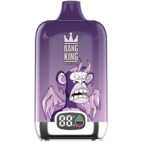 Bang-King-15000-Puff-Grape-Freeze-DSK017-luckvapeja