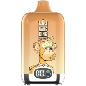 Bang-King-15000-Puff-Peach-Freeze-DSK017-luckvapeja