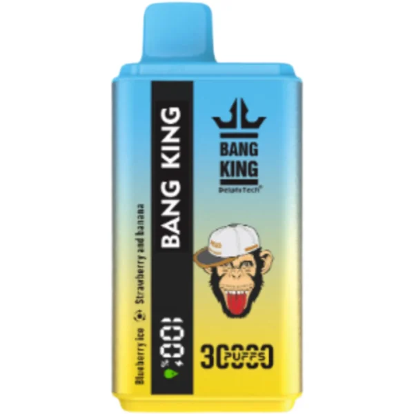 Bang-King-vape-30000-puff-BLUEBERRYICE-STRAWBERRY-AND-BANANA-DSK021-luckvapeja