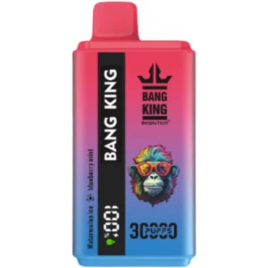Bang-King-vape-30000-puff-WATERMELON-ICE-BLUEBERRY-MINT-DSK021-luckvapeja