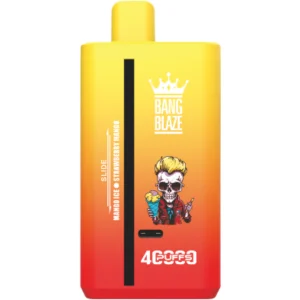 Bang-blaze-vape-40000-puff-mango-ice--strawberry-mango-DSK041-luckvapeja