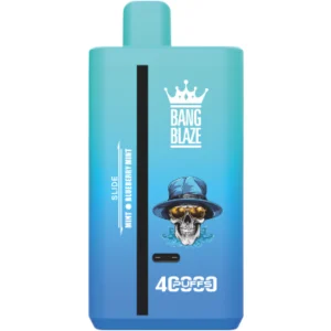 Bang-blaze-vape-40000-puff-mint-blueberry-mint-DSK041-luckvapeja