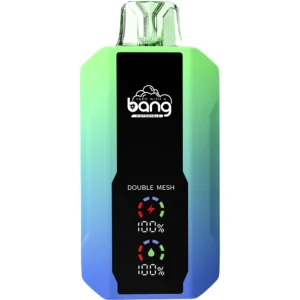 Bang-vape-25000-puff-BLUEBERRY-MINT-DSK005-luckvapeja