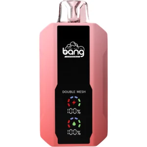 Bang-vape-25000-puff-WATERMELON-ICE-DSK005-luckvapeja