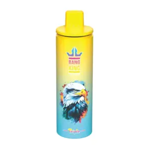 Bang-King-3-in-1-100k-puff-vape-Lemon-Lime-Strawberry-Watermelon-Blueberry-Ice-luckvpaeJA