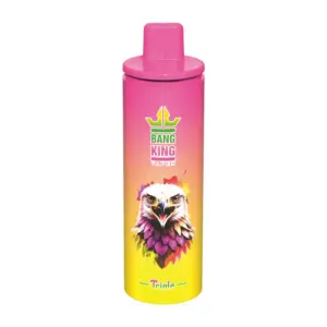 Bang-King-3-in-1-100k-puff-vape-Strawberry-Raspberry-Triple-Melon-Sour-Mango-Pineapple-luckvpaeJA