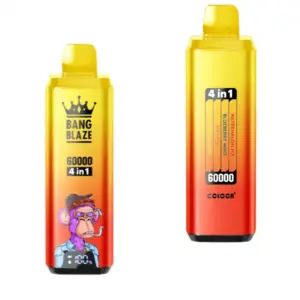 Bang-Blaze-vape-60000-puff-watermelon-ice-blueberry-mint-fuii-ice-lime-romance-DSK050
