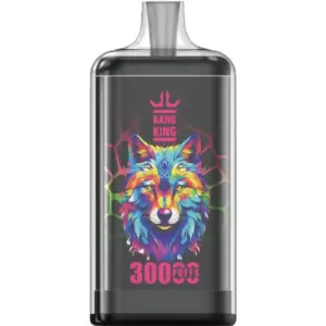 Bang-King-30000-puff-vape-Strawberry-Kiwi-DSK057-luckvapeja