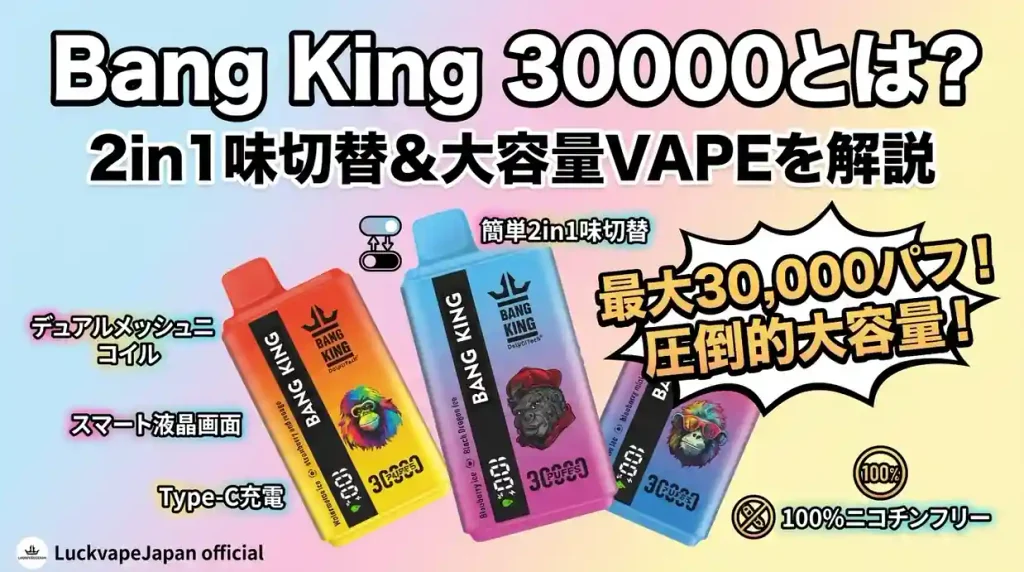Bang King 30000とは?2in1味切替&大容量VAPEを解説